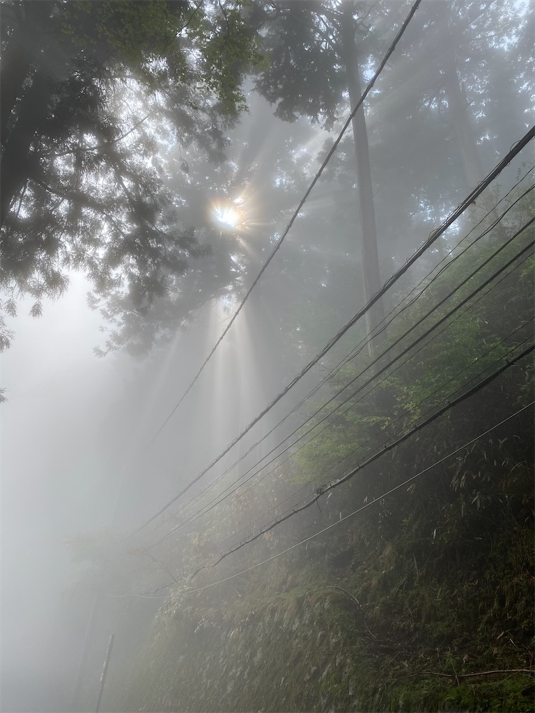 f:id:unitten:20220505205144j:image