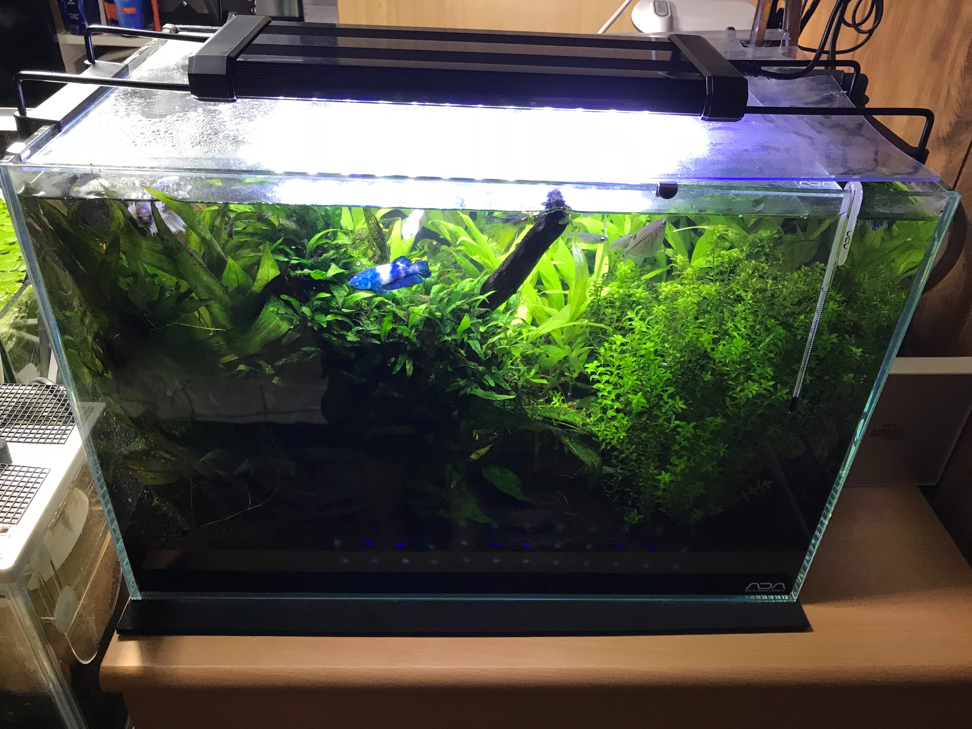 ライトが壊れた To Live Comfortably