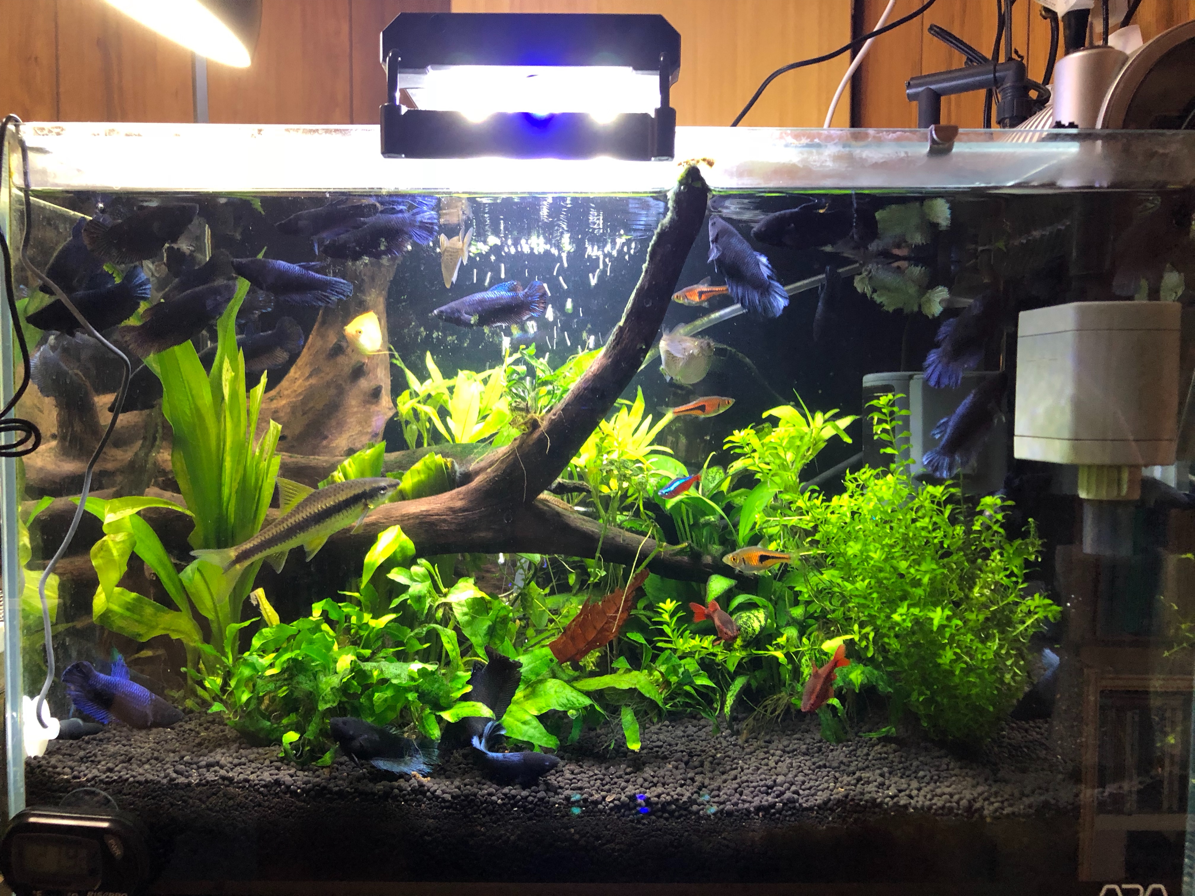 ライトが壊れた To Live Comfortably