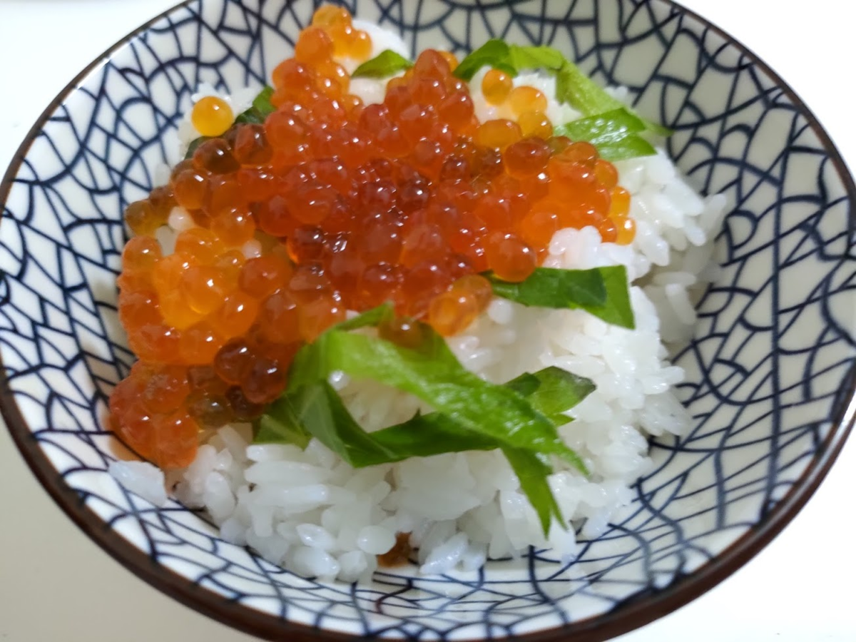 f:id:uniunikun:20210131182547p:image:h300