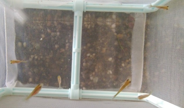 2020-05-2404.jpg
