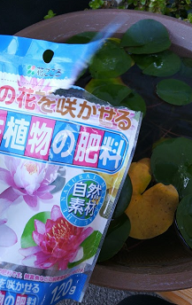 f:id:unkei73:20210918213850p:plain