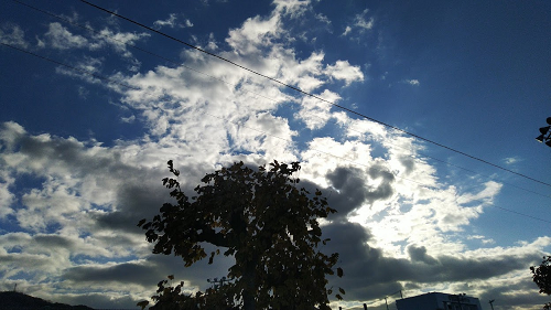 f:id:unkei73:20211204223040p:plain