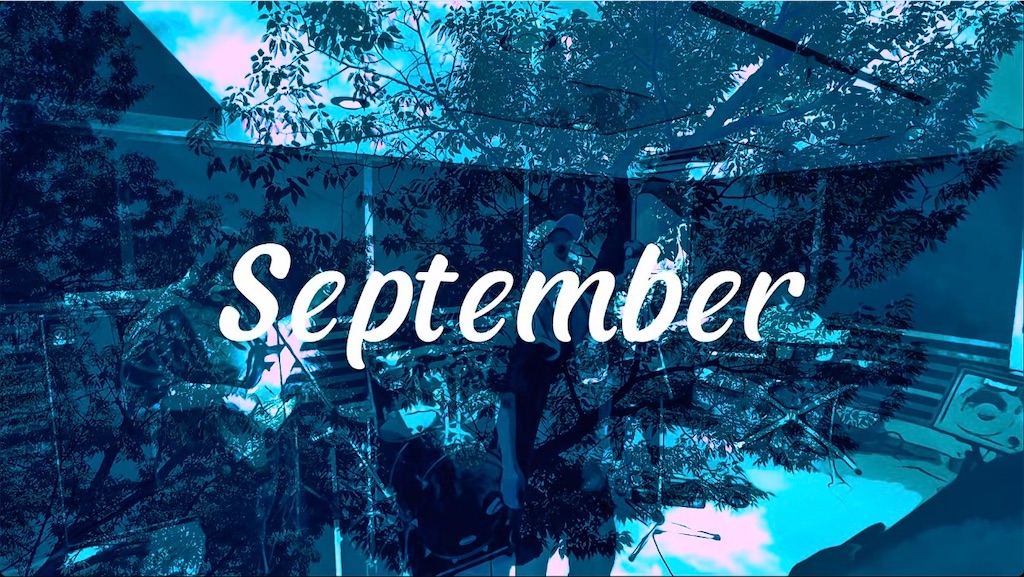 f:id:unkleDrT:20260708002113j:image f:id:unkleDrT:20260708002113j:image