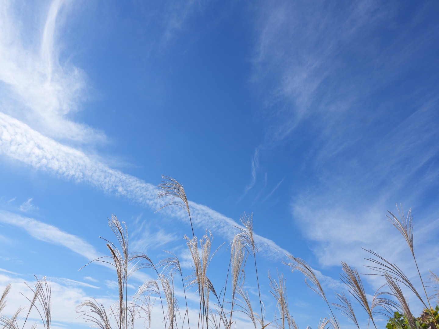 f:id:unknown555:20251112082248j:image