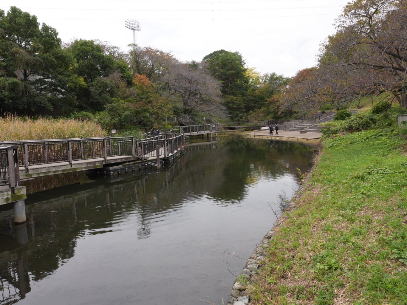 f:id:unknown555:20251118231707j:image