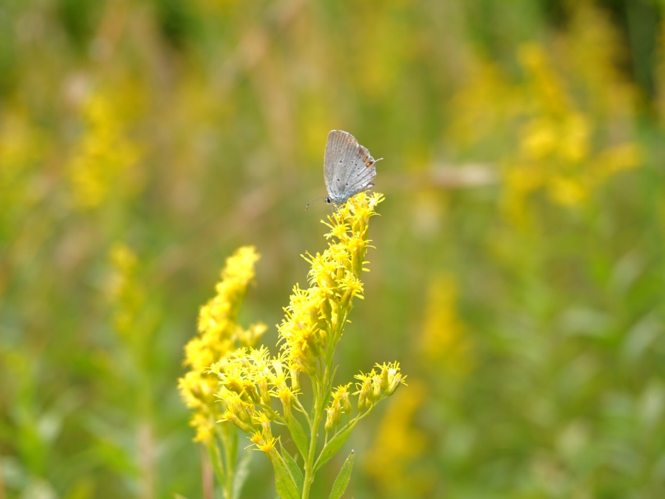 f:id:unknown555:20251118232142j:image