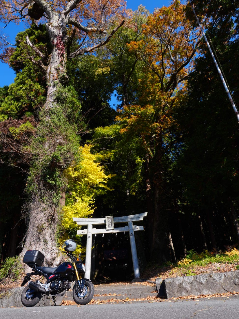 f:id:unknown555:20251212224013j:image