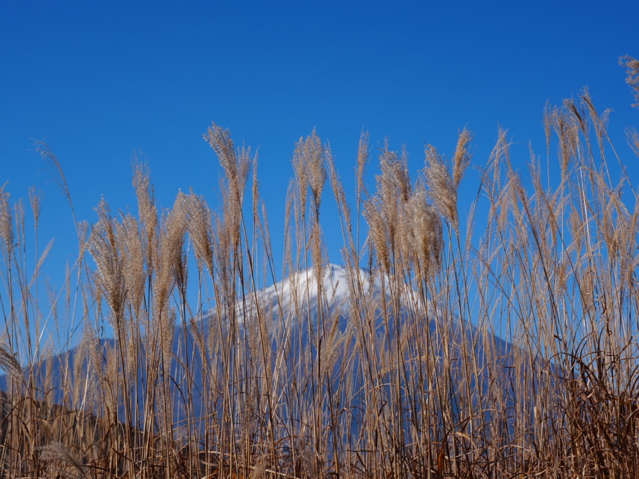 f:id:unknown555:20251212224114j:image