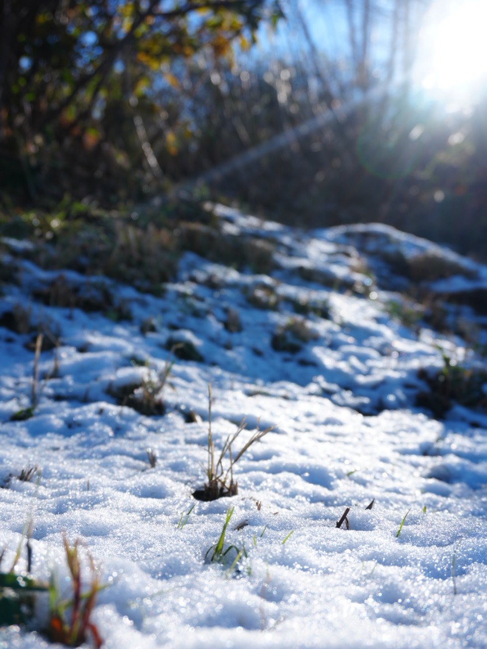 f:id:unknown555:20260106091813j:image