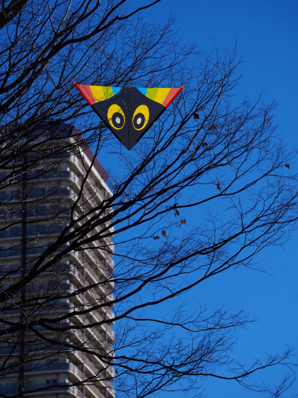 f:id:unknown555:20260106091918j:image