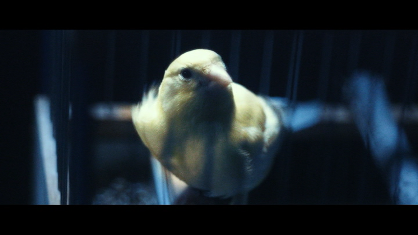 f:id:unknownhuman:20180427000055p:plain