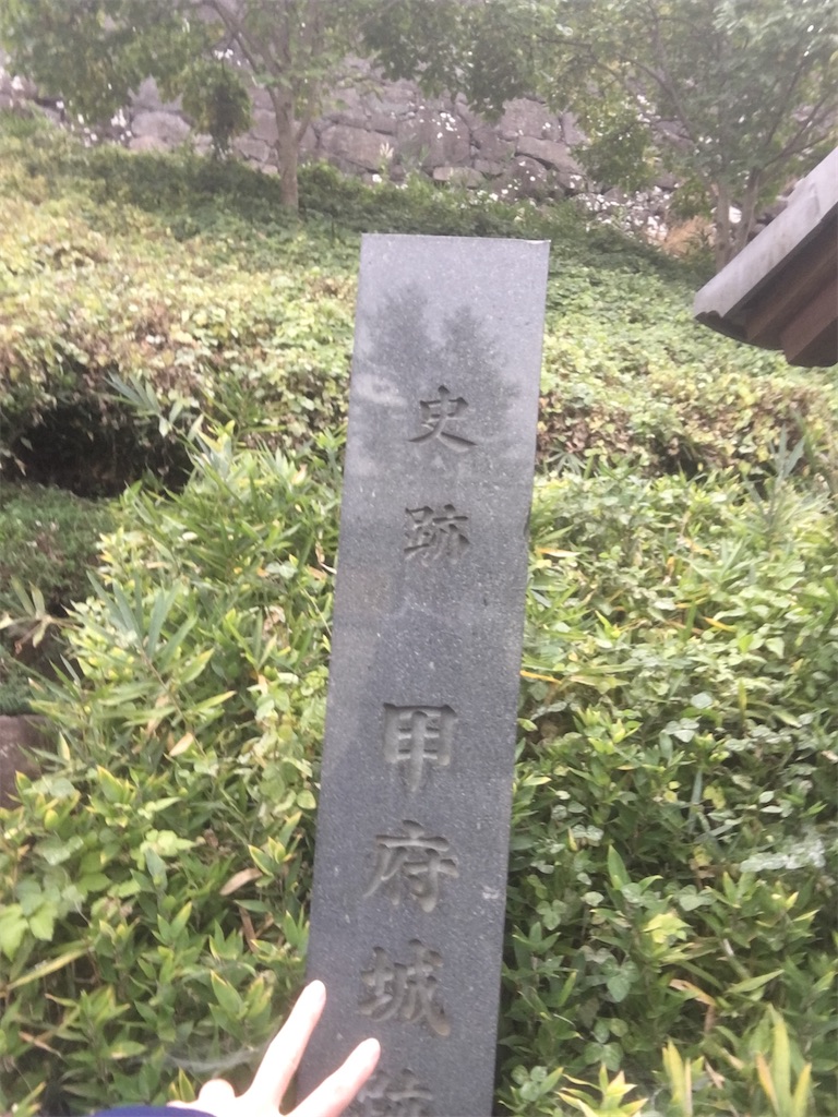 f:id:unknownhuman12340:20201110000314j:image f:id:unknownhuman12340:20201110000314j:image