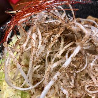 f:id:unkosuzou:20190629105127p:plain f:id:unkosuzou:20190629105127p:plain
