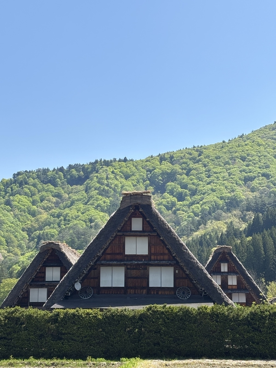 春の風景に囲まれた白川郷の三小屋