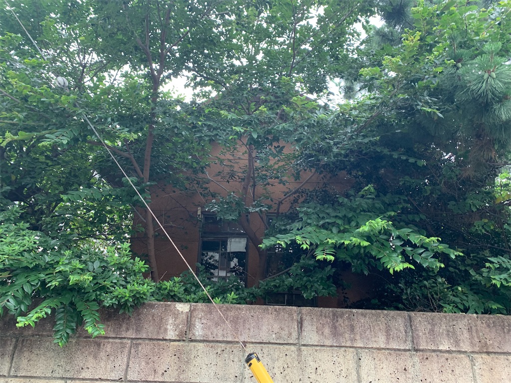 f:id:unlivable:20190721182028j:image