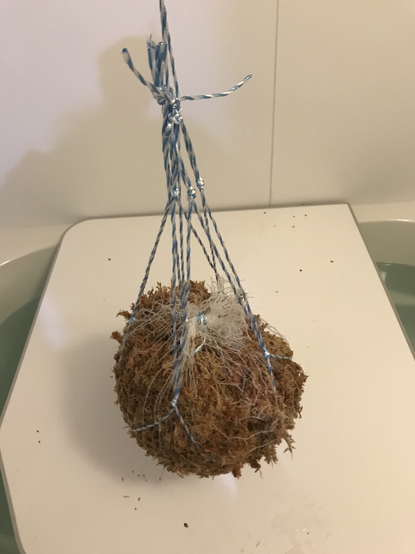 f:id:unnmo:20190425200526j:plain f:id:unnmo:20190425200526j:plain