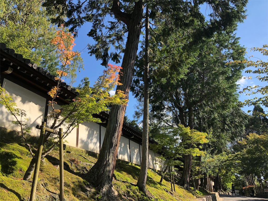 f:id:uno_k:20181012195747j:image