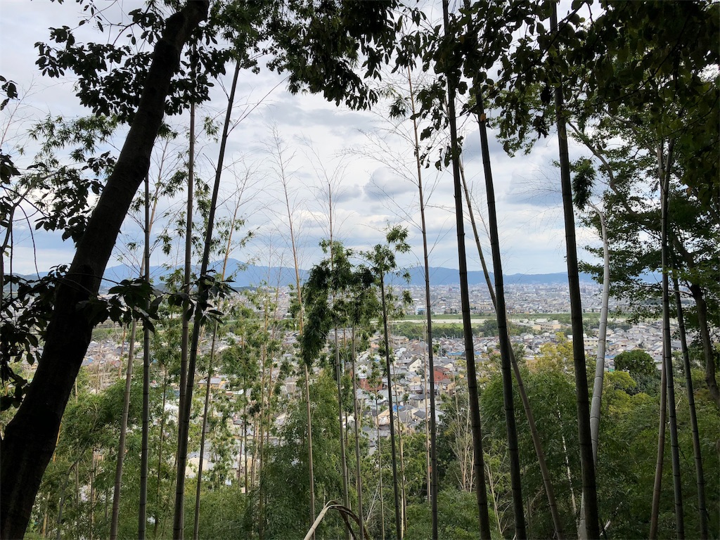 f:id:uno_k:20181013232548j:image
