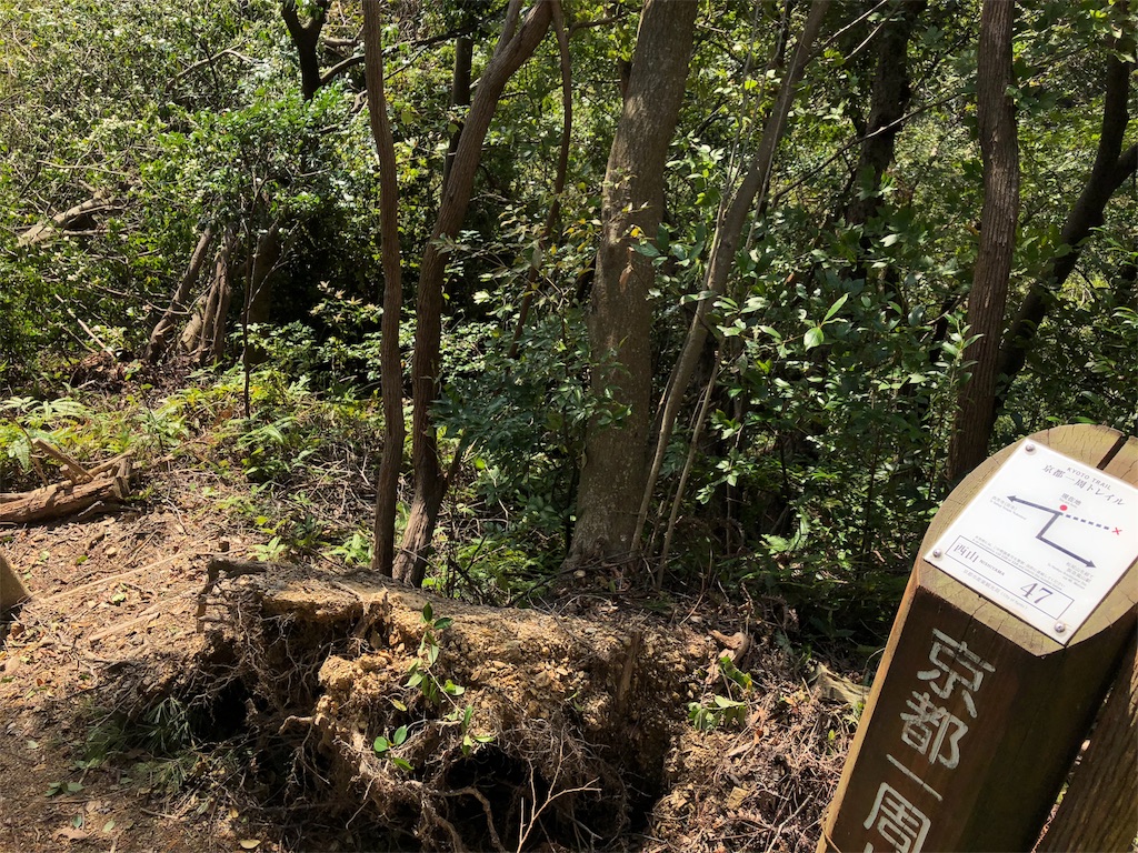 f:id:uno_k:20181013232652j:image
