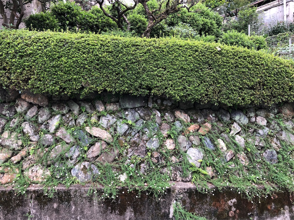 f:id:uno_k:20181014222846j:image