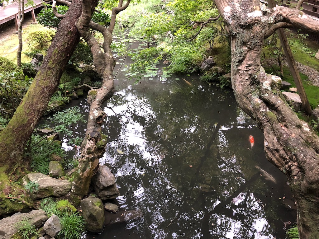 f:id:uno_k:20181014222939j:image