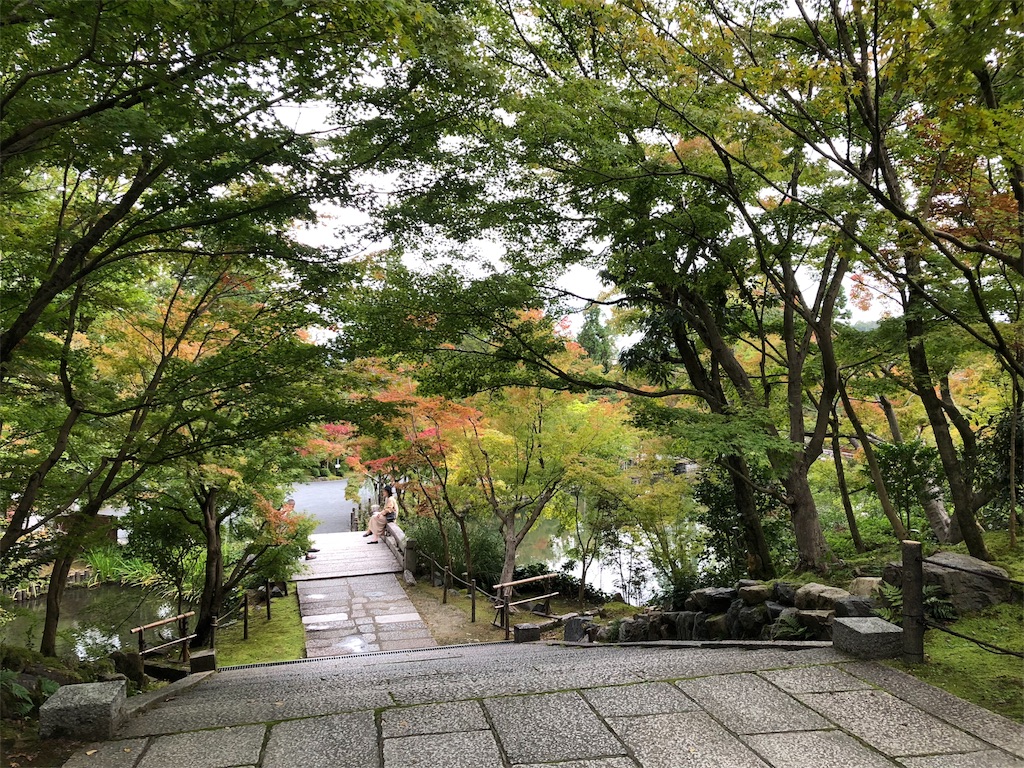 f:id:uno_k:20181014223023j:image