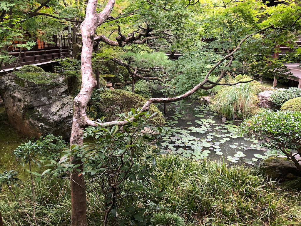 f:id:uno_k:20181014223052j:image