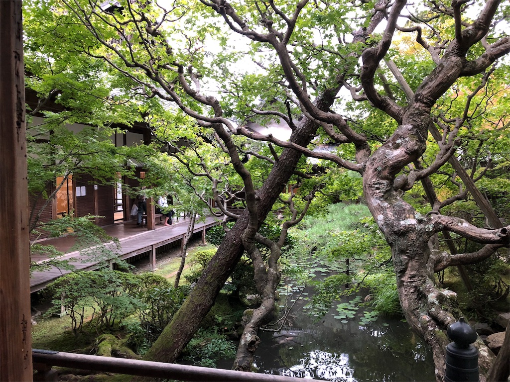 f:id:uno_k:20181014223252j:image