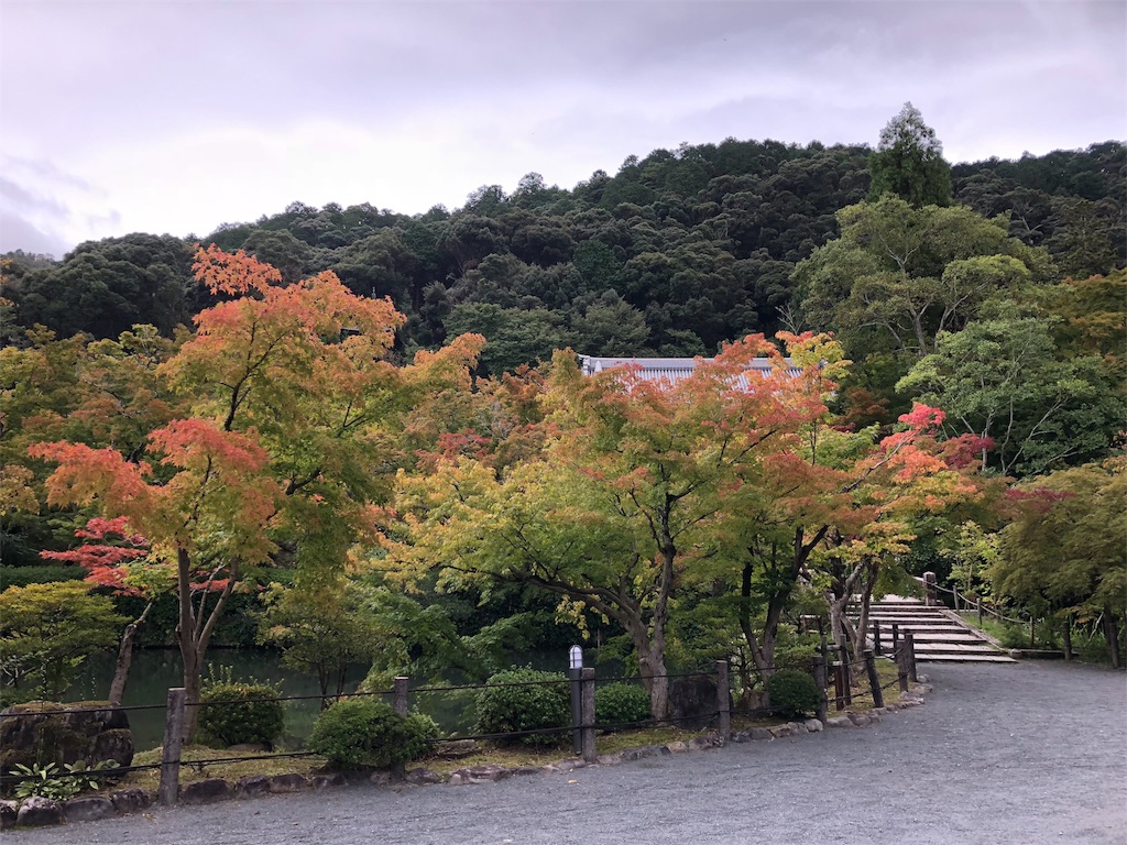 f:id:uno_k:20181014223331j:image