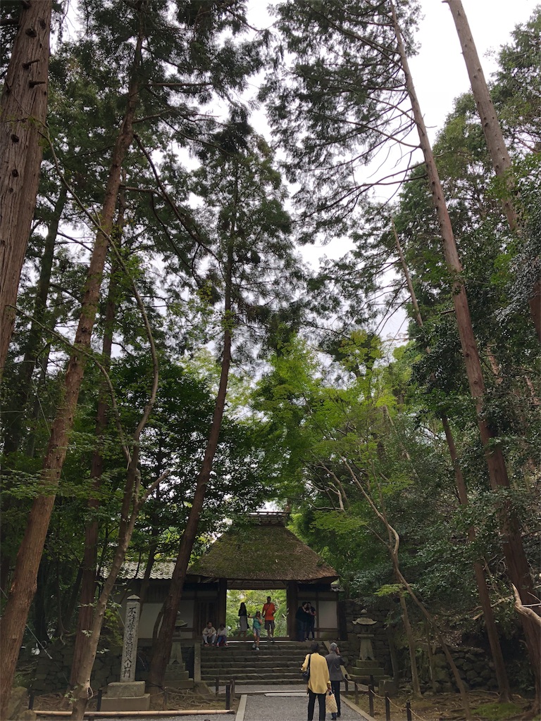 f:id:uno_k:20181014223446j:image