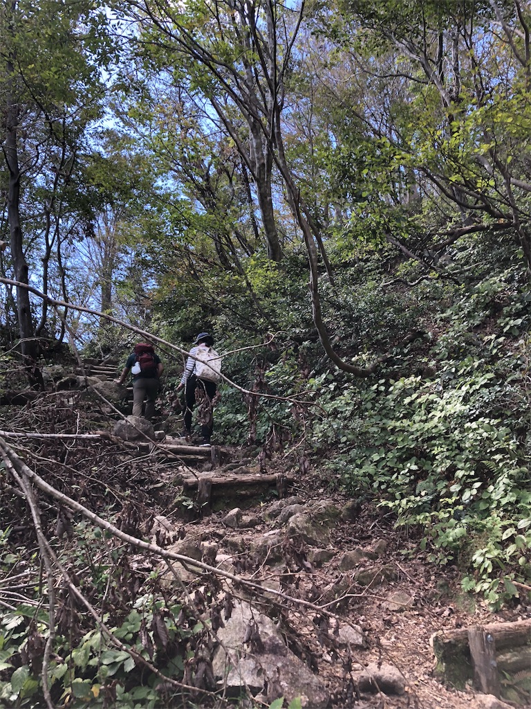 f:id:uno_k:20181016155159j:image