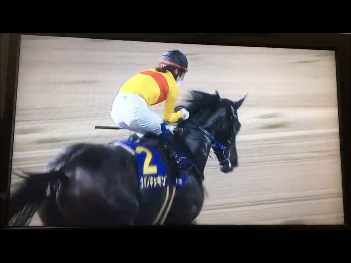 f:id:unominews:20191003021133j:plain