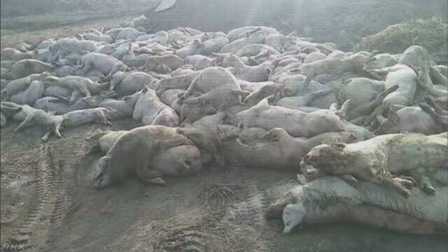 f:id:unominews:20200422094541j:plain