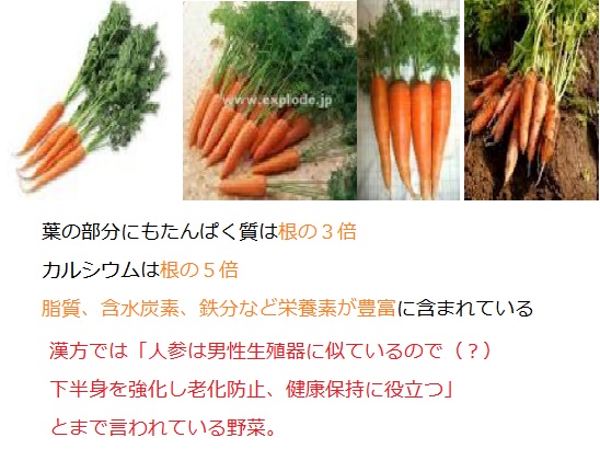 f:id:unpy72636:20170725134518j:plain f:id:unpy72636:20170725134518j:plain