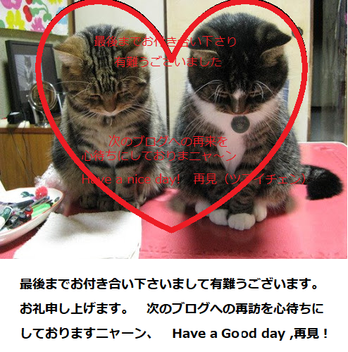 f:id:unpy72636:20180305231209p:plain