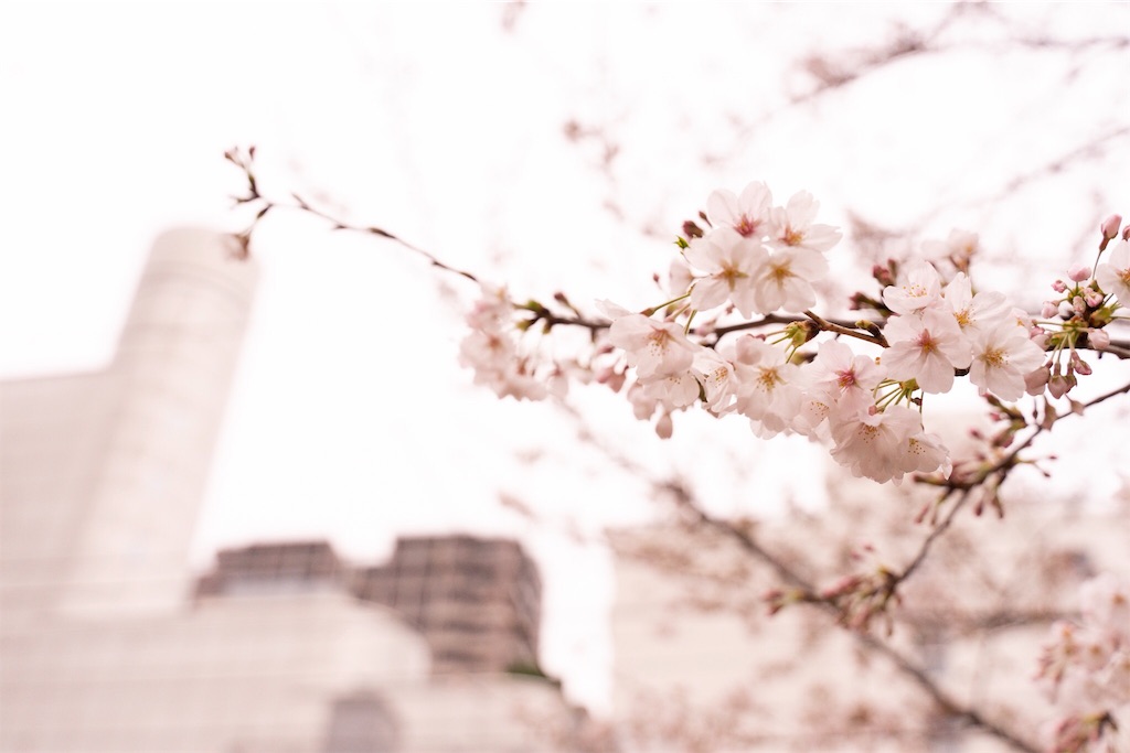 f:id:untaaan:20190407144639j:image