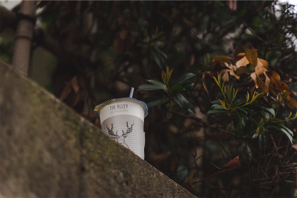 f:id:untaaan:20190407144823j:image