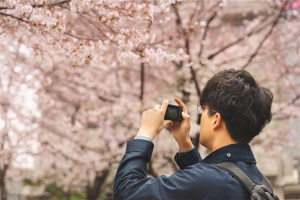 f:id:untaaan:20190407144920j:image