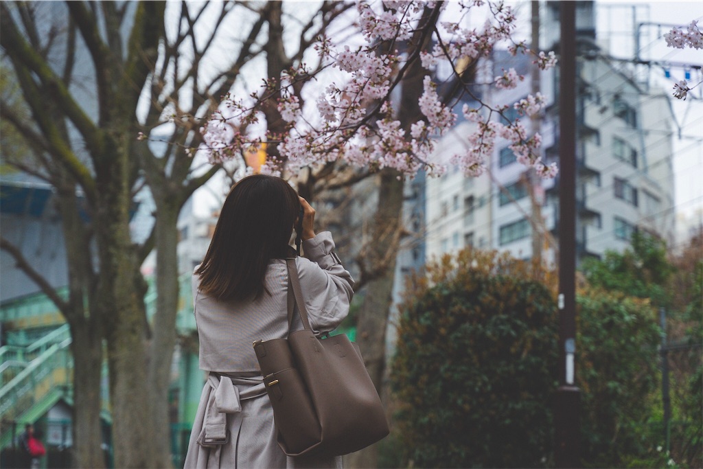 f:id:untaaan:20190407145907j:image
