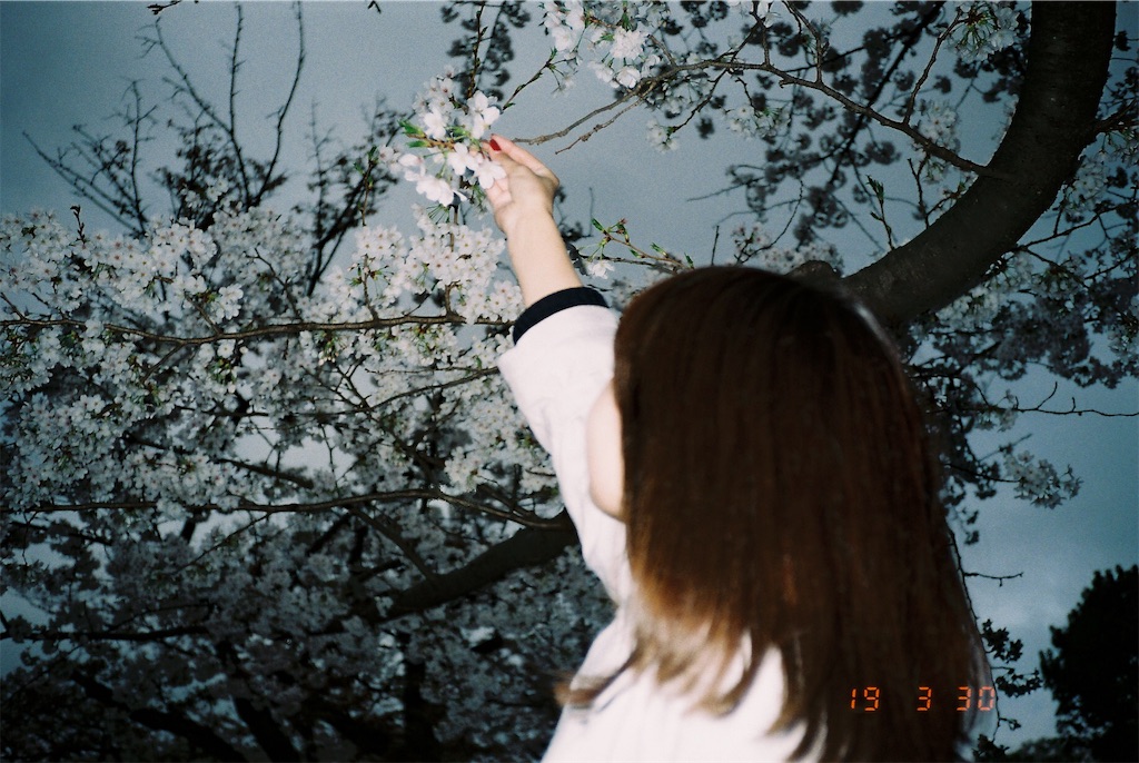 f:id:untaaan:20190411184429j:image