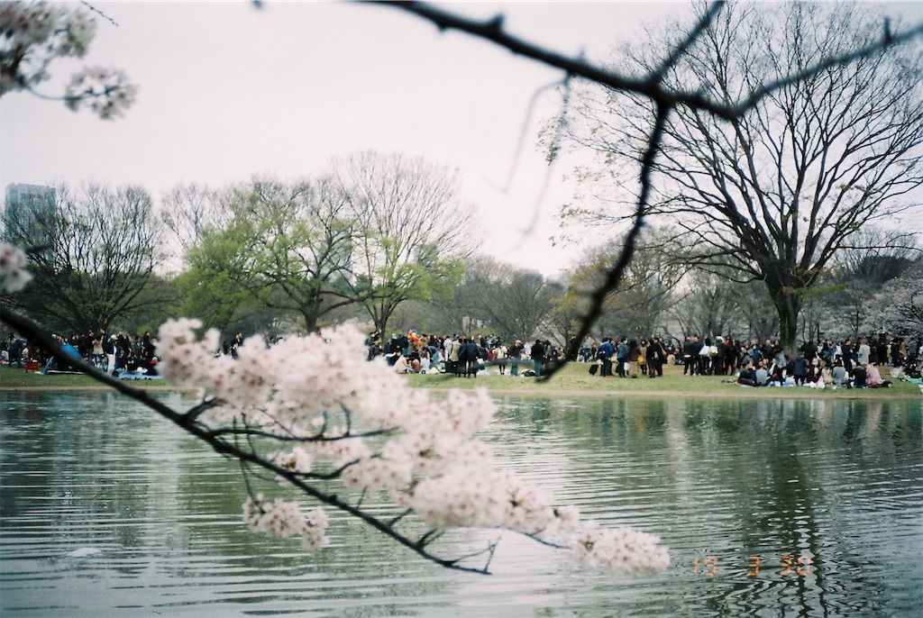 f:id:untaaan:20190411185851j:image