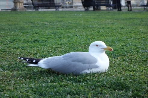 194.jpg