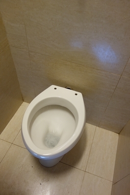 229.jpg