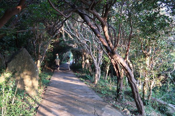 f:id:unyora-d:20161022135157j:plain