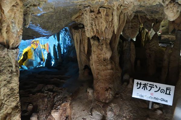 f:id:unyora-d:20161022160146j:plain f:id:unyora-d:20161022160146j:plain