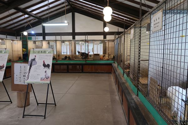 f:id:unyora-d:20161022160320j:plain f:id:unyora-d:20161022160320j:plain