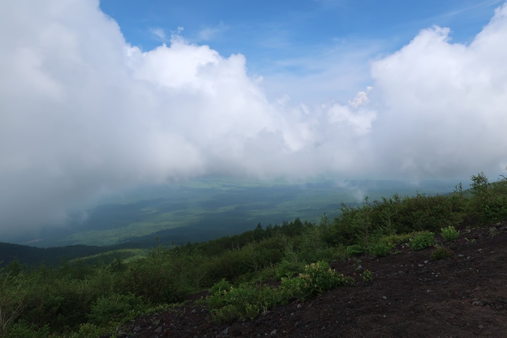 f:id:unyora-d:20180809225909j:plain