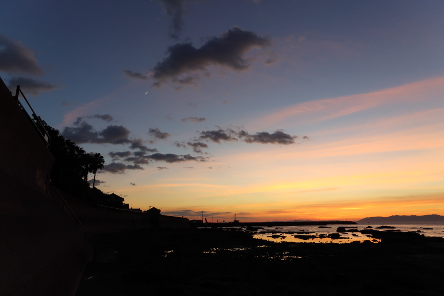 f:id:unyora-d:20190316113851j:plain