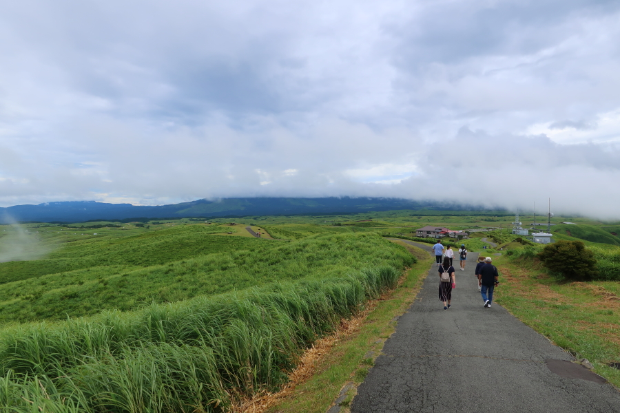 f:id:unyora-d:20190316115844j:plain